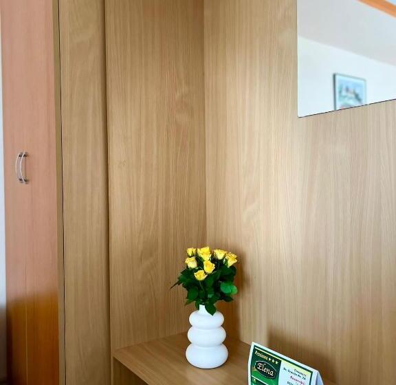 Bed and Breakfast Pensiunea Elena