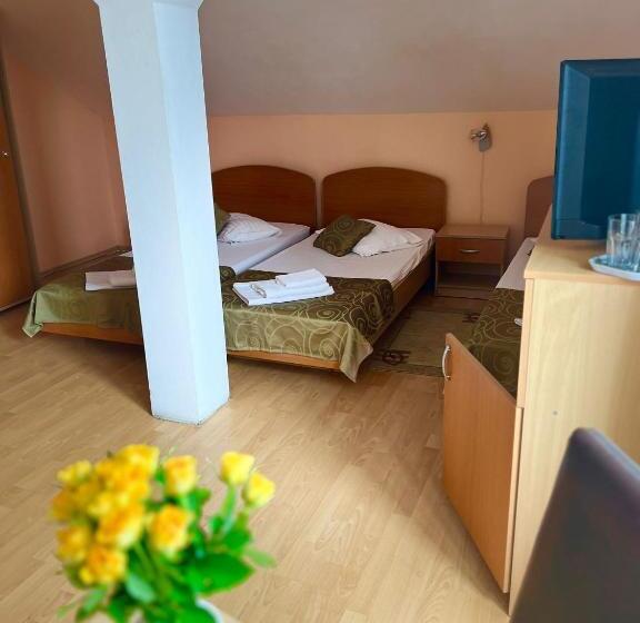 Bed and Breakfast Pensiunea Elena