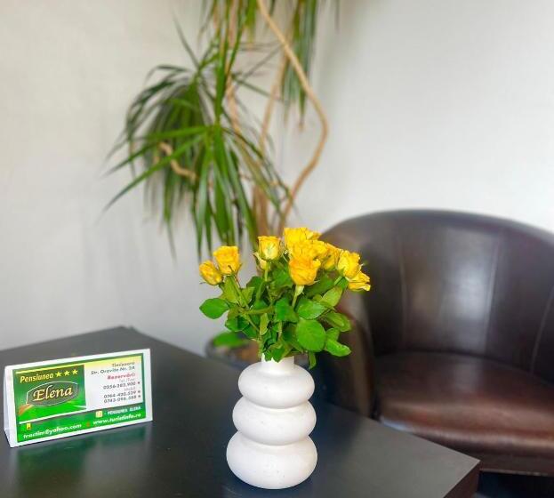 Bed and Breakfast Pensiunea Elena