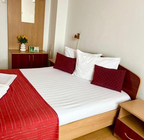 Bed and Breakfast Pensiunea Elena