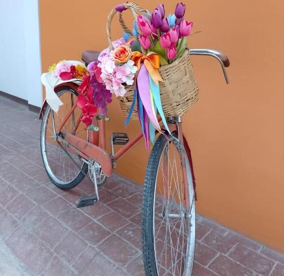 Casa De Las Flores Hotel Boutique