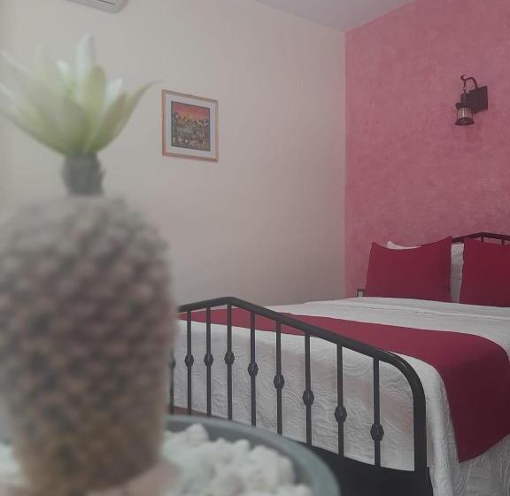 Casa De Las Flores Hotel Boutique