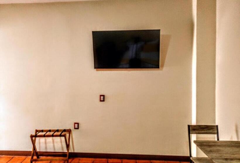 Casa De Las Flores Hotel Boutique