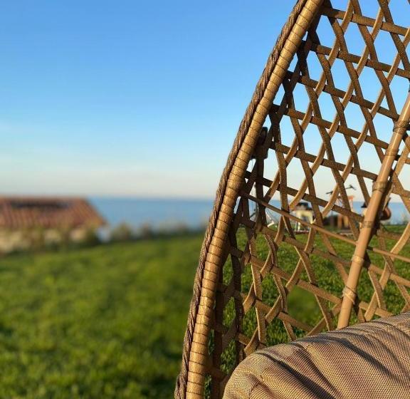 Casale Adriatico B&b