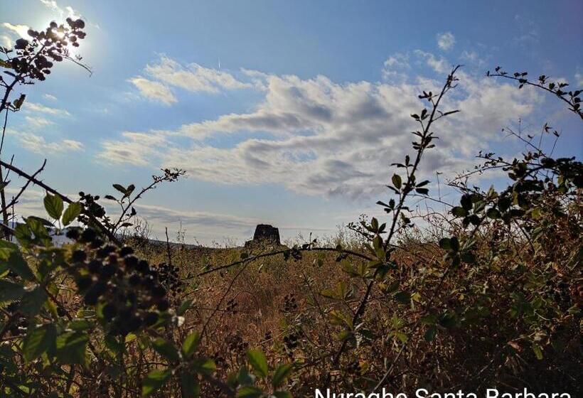 בית מלון כפרי Alabe