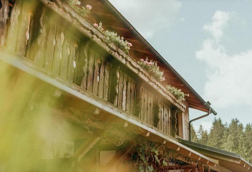 בית מלון כפרי Am Fichtelsee