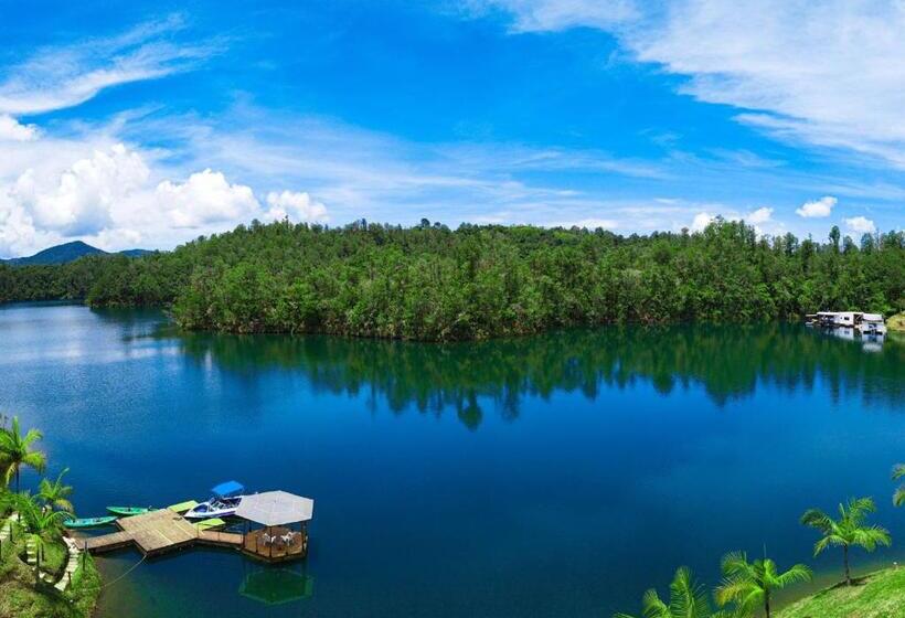 בית מלון כפרי Asis Glamping 1