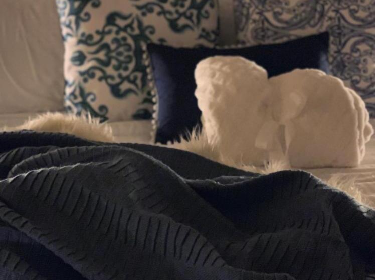 בית מלון כפרי Asis Glamping 1