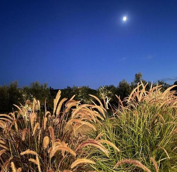 Отель Baglio Custera