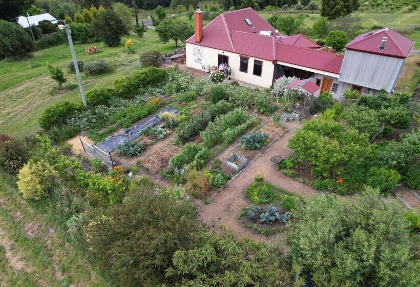 فندق Cherry Top Farmstay  Boutique Eco Village