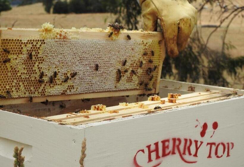 فندق Cherry Top Farmstay  Boutique Eco Village