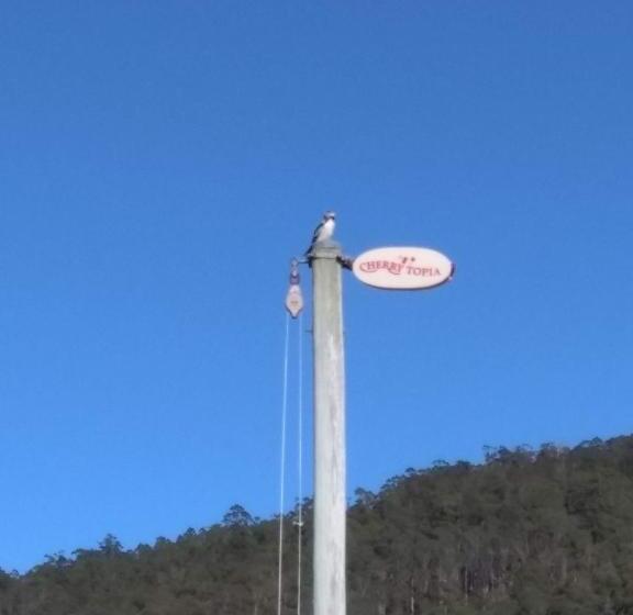 فندق Cherry Top Farmstay  Boutique Eco Village