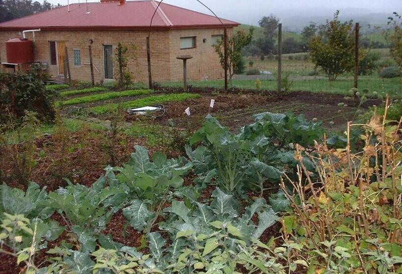 فندق Cherry Top Farmstay  Boutique Eco Village