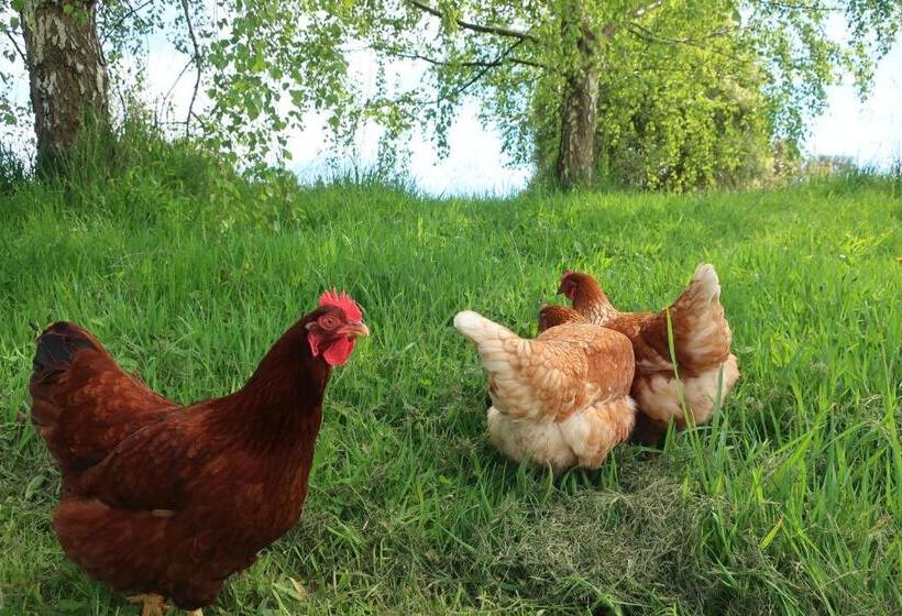 فندق Cherry Top Farmstay  Boutique Eco Village