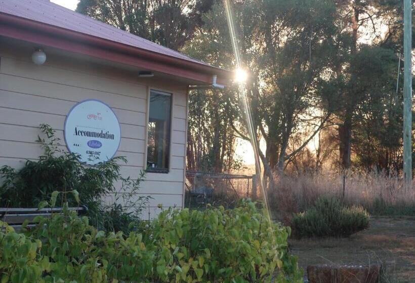 فندق Cherry Top Farmstay  Boutique Eco Village