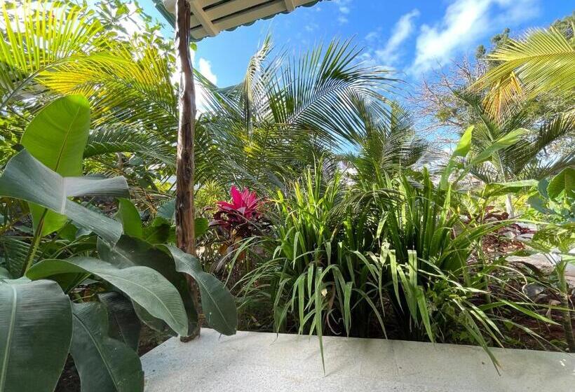 ホテル Gaia Villas