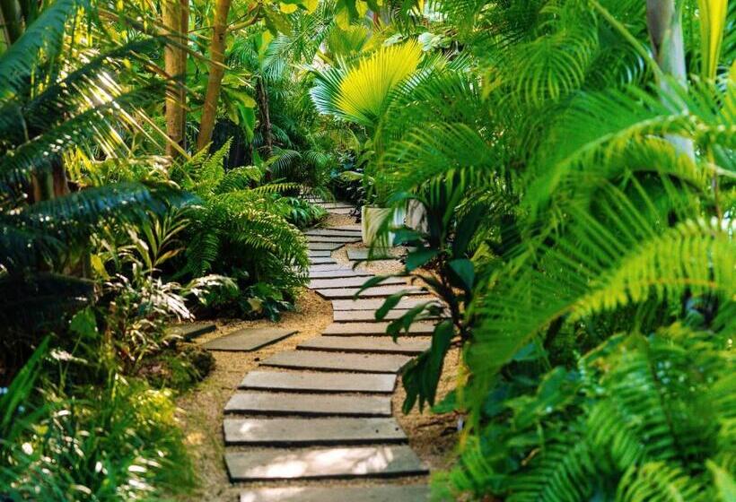 ホテル Gaia Villas