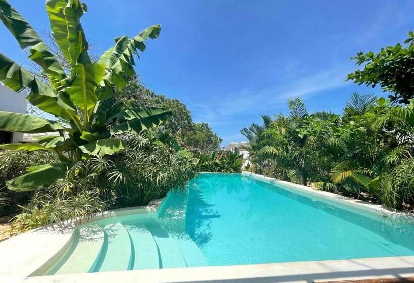 ホテル Gaia Villas