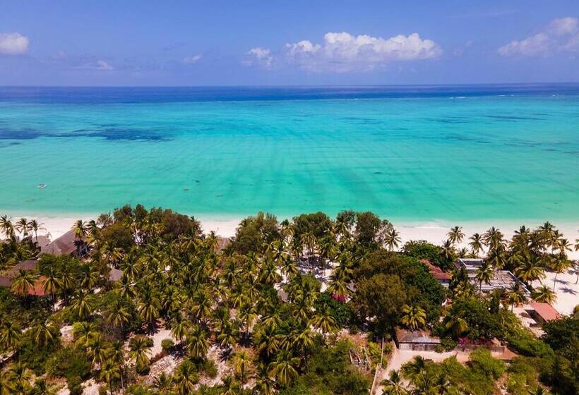 בית מלון כפרי Heart Of Zanzibar Bungalows