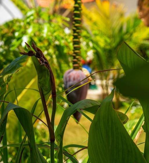 בית מלון כפרי Heart Of Zanzibar Bungalows