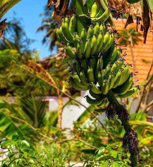 בית מלון כפרי Heart Of Zanzibar Bungalows