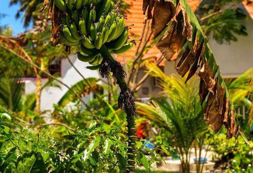 בית מלון כפרי Heart Of Zanzibar Bungalows