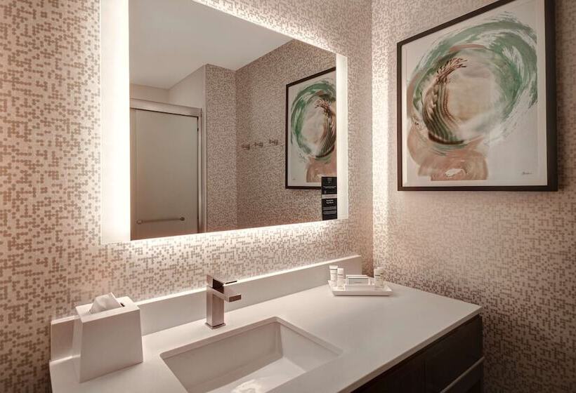 هتل Home2 Suites By Hilton Tucson Downtown