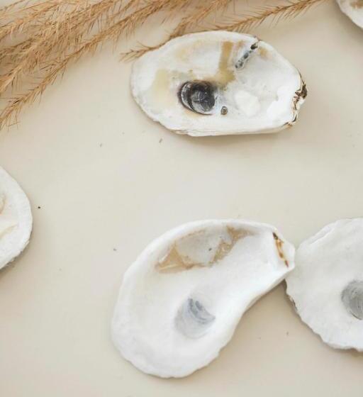 فندق Oyster Bay Boutique