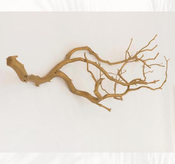 فندق Oyster Bay Boutique