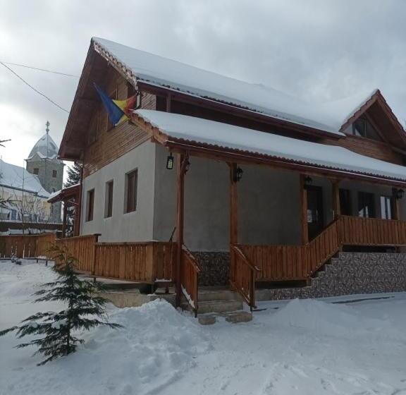 ホテル Pensiunea Floare De Colt