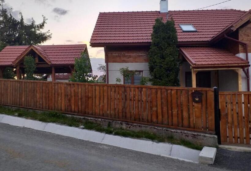 ホテル Pensiunea Floare De Colt