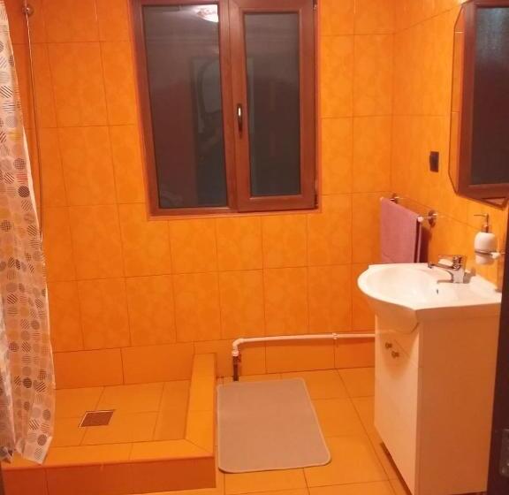 ホテル Pensiunea Floare De Colt