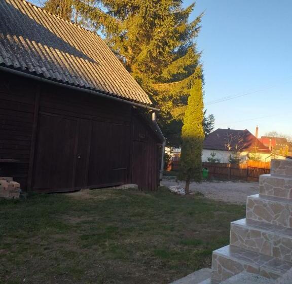 ホテル Pensiunea Floare De Colt