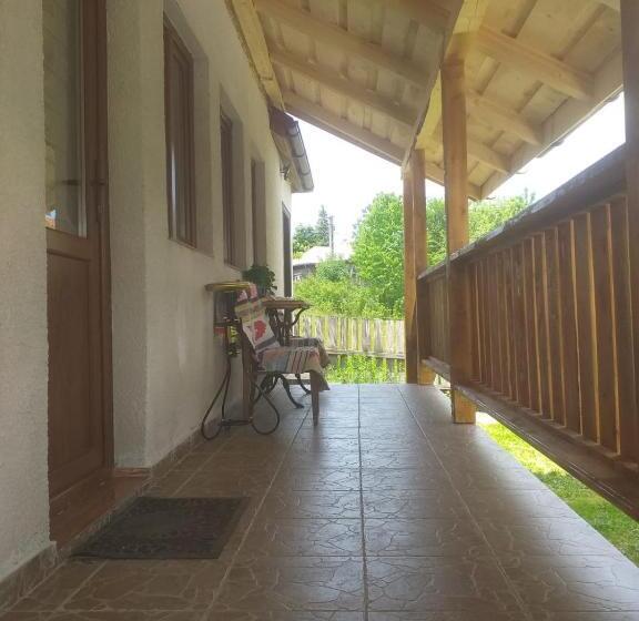 ホテル Pensiunea Floare De Colt