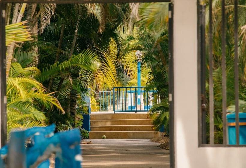 فندق Playazul Coveñas