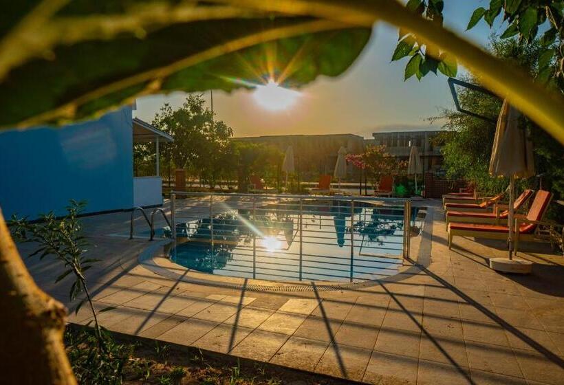 酒店 Prenses Sealine Beach