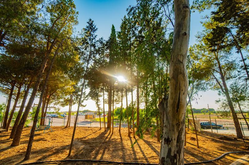 酒店 Prenses Sealine Beach