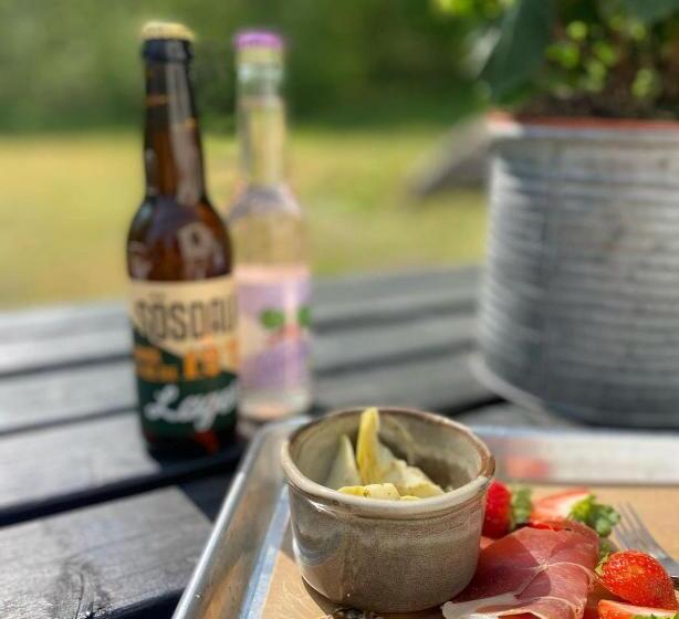 فندق Rallarhustruns