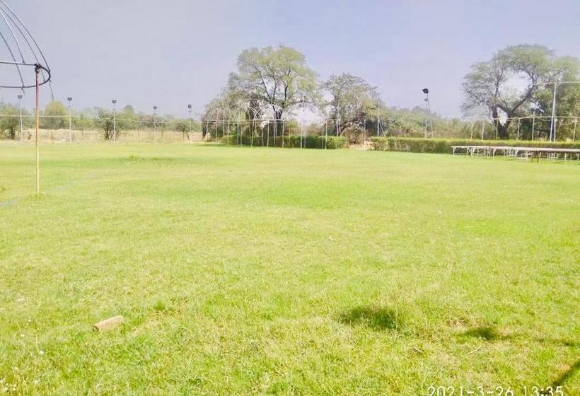 בית מלון כפרי Regency Bina