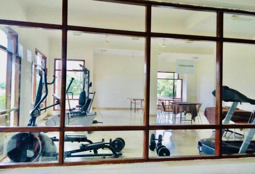 בית מלון כפרי Regency Bina