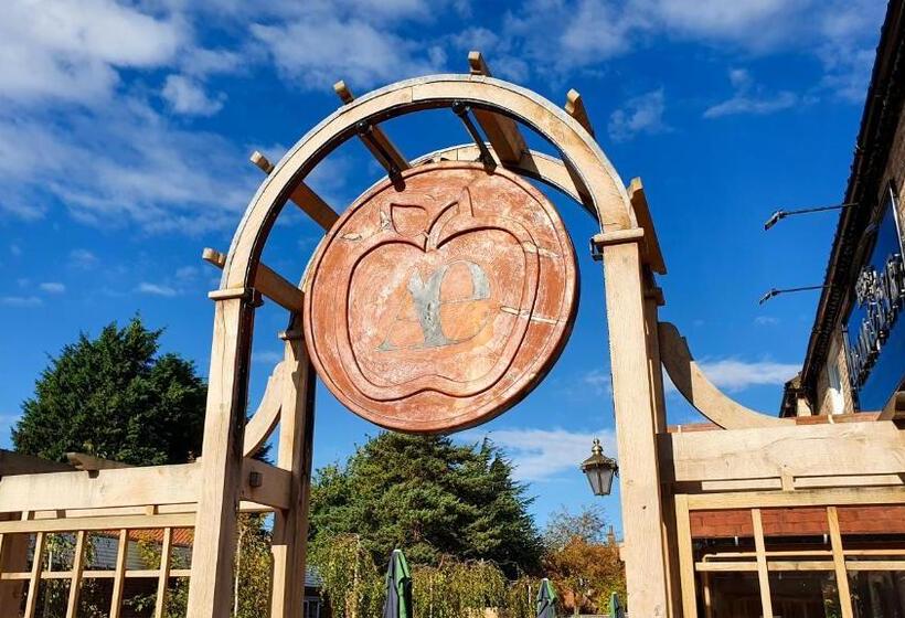 Отель The Adam And Eve