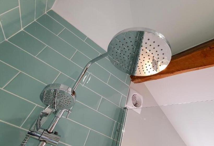 Отель The Adam And Eve