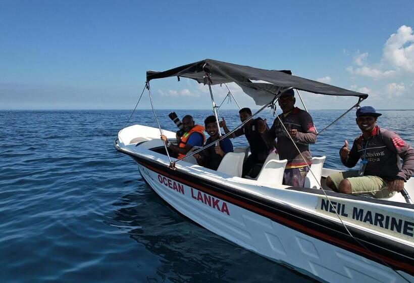 Отель The Blue Lagoon Resort  Kalpitiya