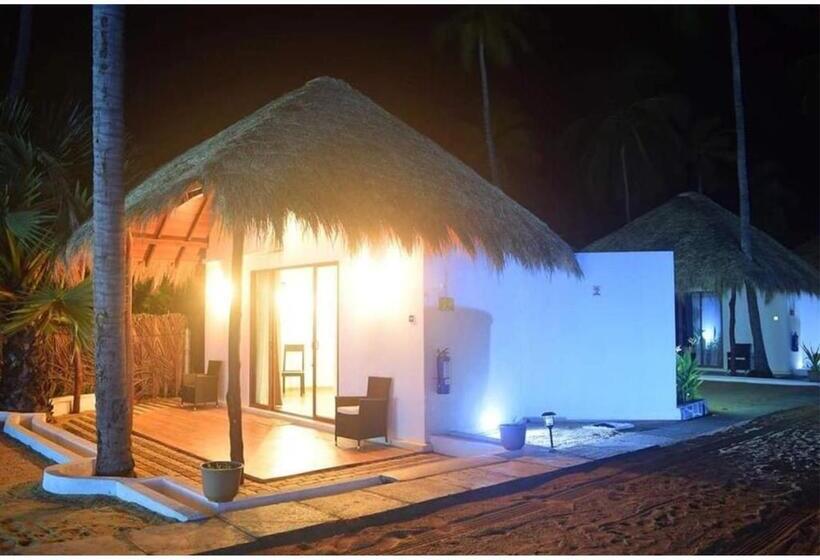 Отель The Blue Lagoon Resort  Kalpitiya