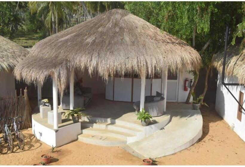 Отель The Blue Lagoon Resort  Kalpitiya