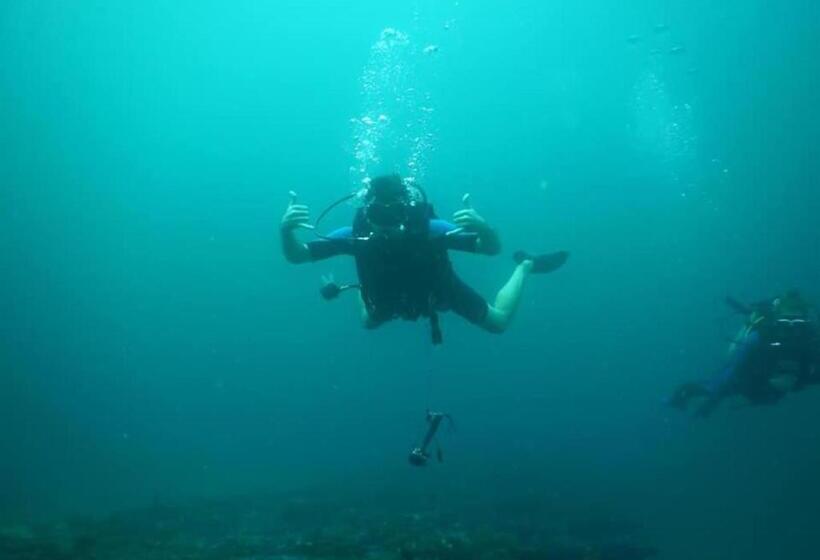 Отель The Blue Lagoon Resort  Kalpitiya