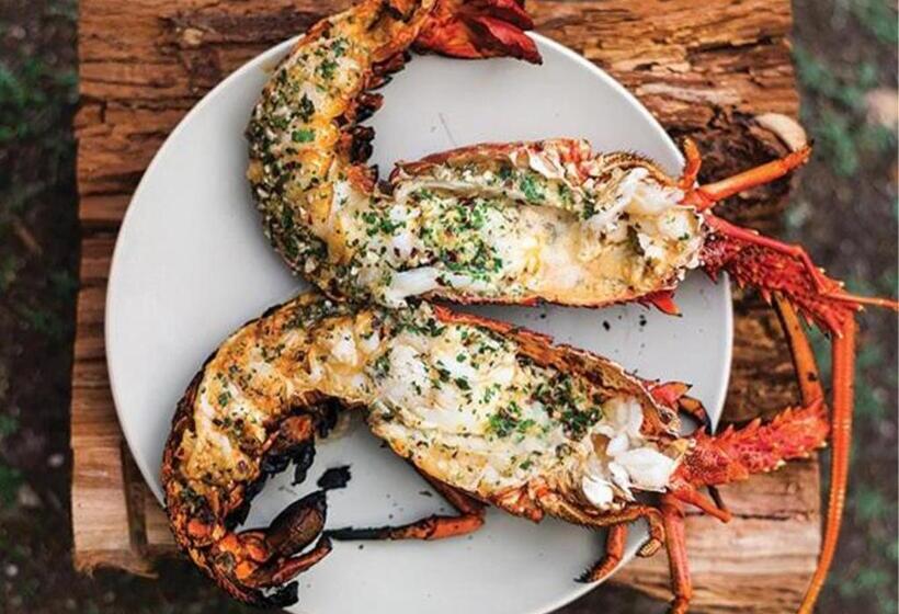 Отель The Blue Lagoon Resort  Kalpitiya