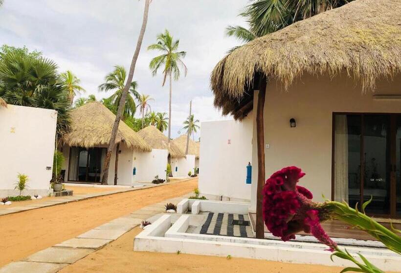 Отель The Blue Lagoon Resort  Kalpitiya