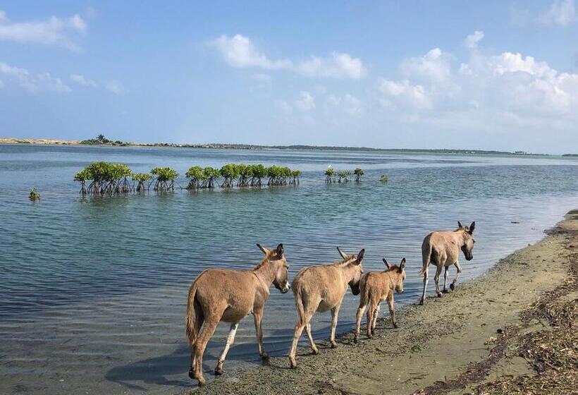 Отель The Blue Lagoon Resort  Kalpitiya