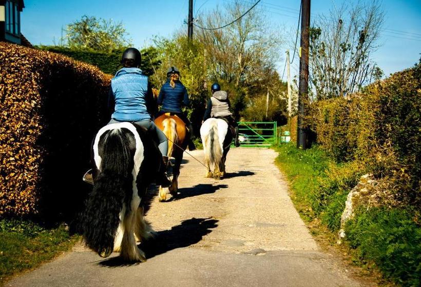 ホテル The Chilterns Fox